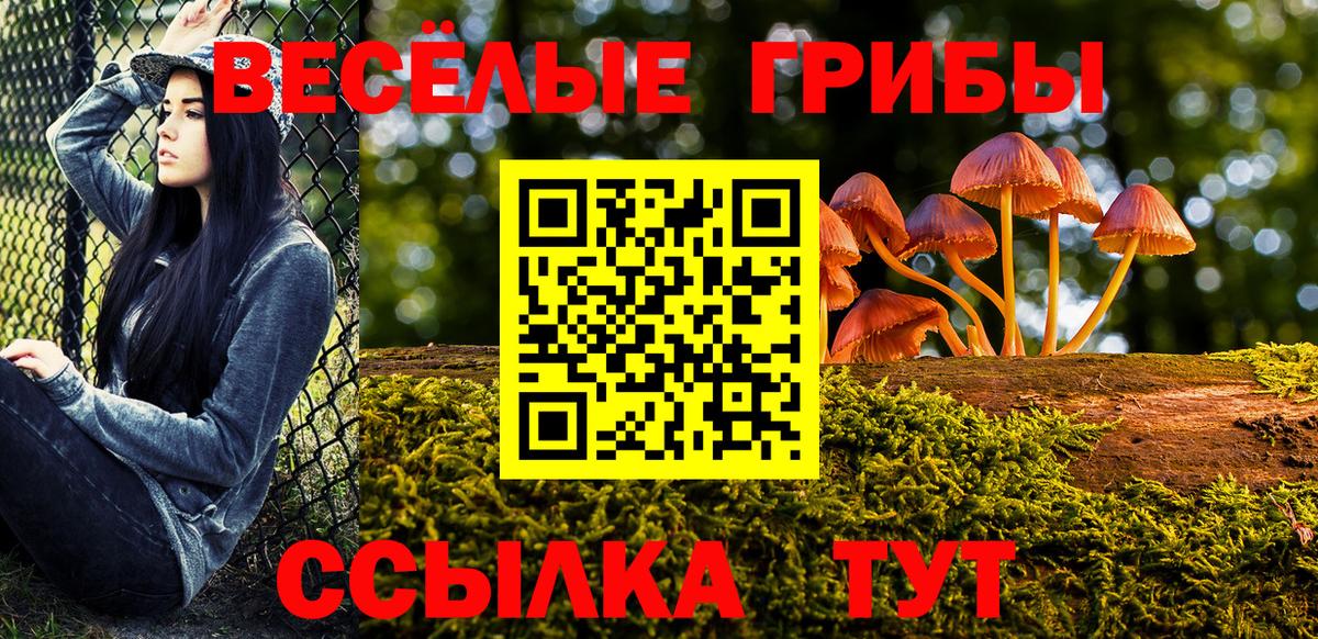Галлюциногенные грибы Psilocybe  Вход с VPN  Киселёвск 