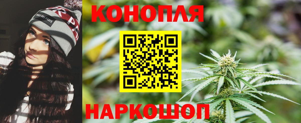 Марихуана OG Kush Киселёвск
