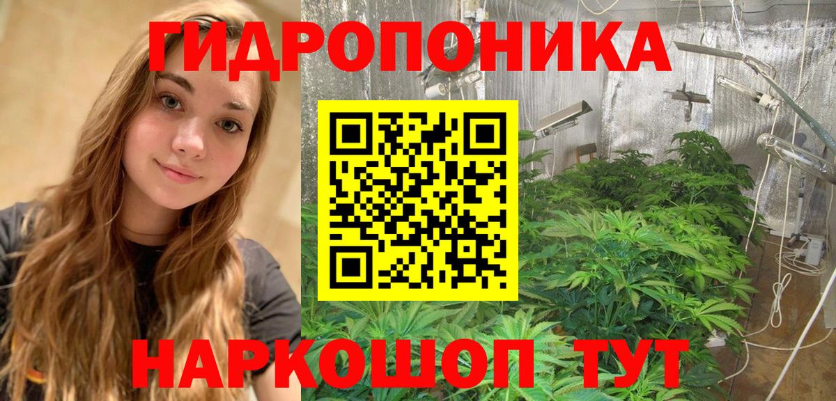 Конопля ГИДРОПОН  Вход с VPN  Канабис Ganja  Бошки Шишки семена  Киселёвск 